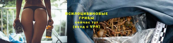 герыч Лиски